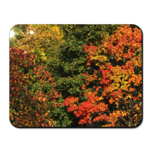 Коврик для мыши с принтом Краски осени