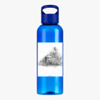 Прозрачная спортивная бутылка