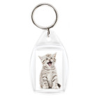 Котики-котята