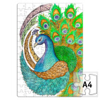 Индийский павлин