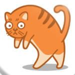 Кот