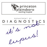 Princeton plainsboro