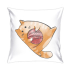 Кот Мягкот, рыжий живот!