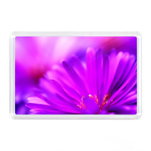 Магнит с принтом Фиолетовый Цветок