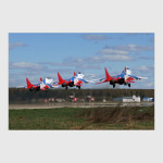 МиГ-29 'Стрижи'