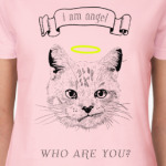 Кот ангел с нимбом над головой