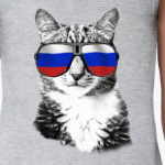 Крутой Кот