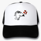 Кепки Trucker