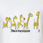 Эволюция жирафов