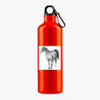 Металлическая бутылка 700 мл UV-DTF