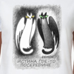 Истина где-то посередине