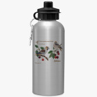 Спортивная бутылка