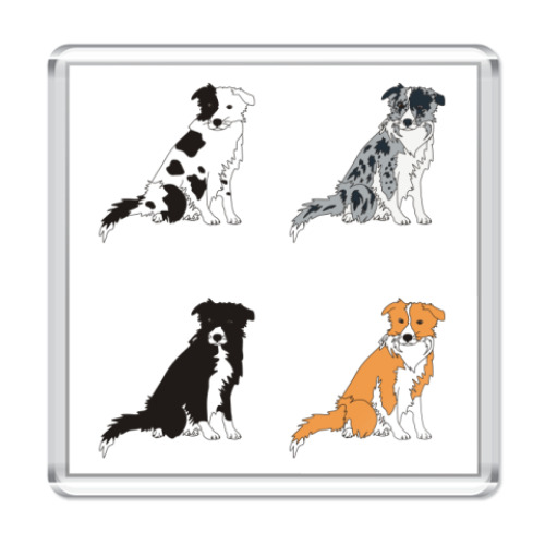 Магнит с принтом   ОКРАСЫ