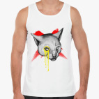 Серьезный кот