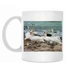 Лебеди на берегу моря