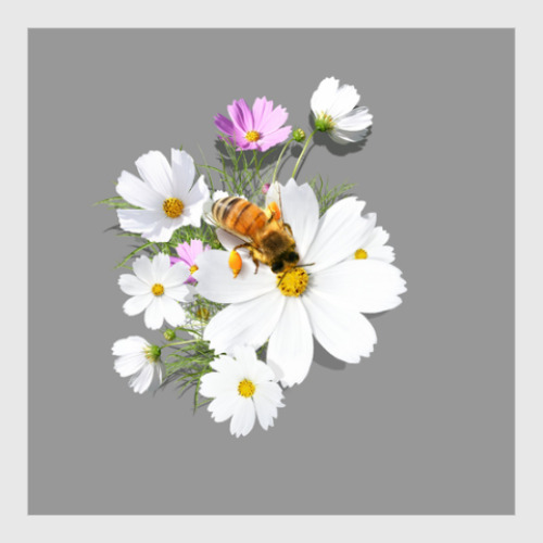 Постер с принтом Цветы