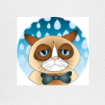  Кот и дождь