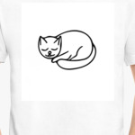 милый котенок спит