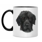 Русский черный терьер собака