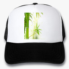 Кепки Trucker