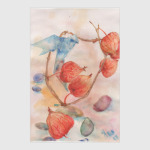 Птиц и физалис