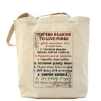 10причин любить Форкс