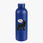 Термобутылка