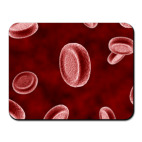  Эритроциты