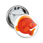 Морской окунь