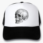 Кепки Trucker