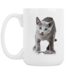 Кошки и котята