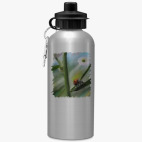 Спортивная бутылка