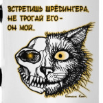 Кот Шрёдингера