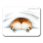 Спящий корги