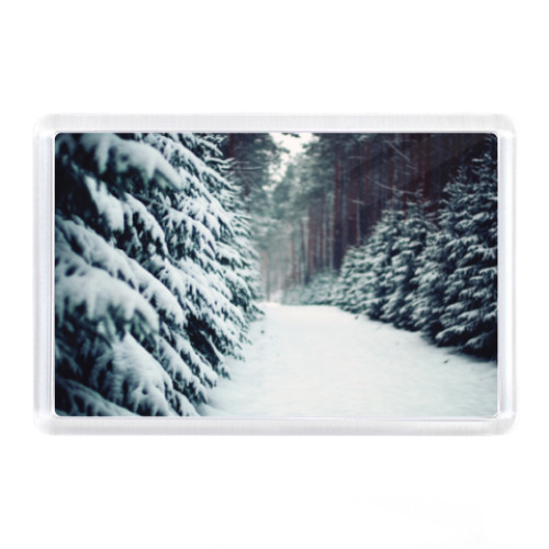 Магнит с принтом Зимний лес