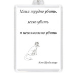 Кот шредингера