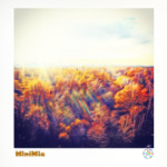 Лучистый парк