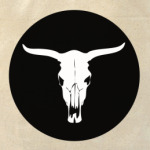  Cow's Scull