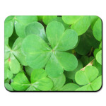  Shamrock