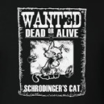 Кот Шрёдингера