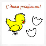 цыпленок