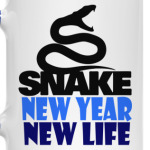 Snake -New Year New Life