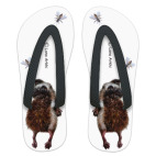 Ежики любят загорать