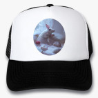 Кепки Trucker