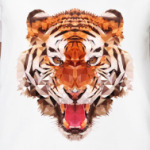 Тигр