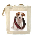 Щенки,щенята и собаки