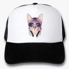 Кепки Trucker