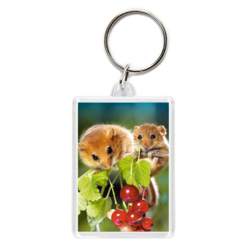 Брелок с принтом Хомячки