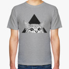 Кот в треугольнике