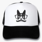Кепки Trucker
